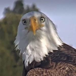 Meet your Posher, Kandi